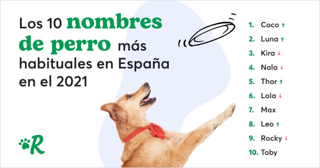 Los españoles se han inspirado en personajes de dibujos animados como Coco,  Nala o Simba para ponerle nombre a sus mascotas en 2021 - Canela